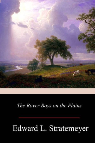 the Rover Boys on Plains