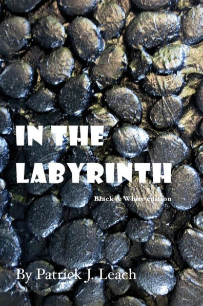 the Labyrinth (B&W Edition)
