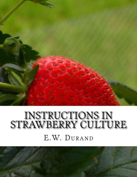Instructions in Strawberry Culture: or, How To Grow Strawberries