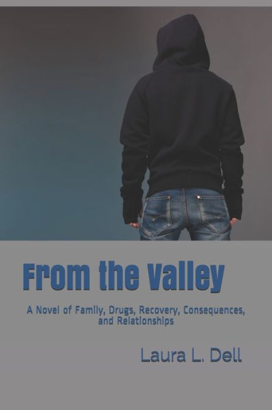 From the Valley: A Novel of Family, Drugs, Recovery, Consequences, and Relationships
