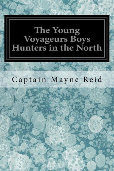 The Young Voyageurs Boys Hunters in the North