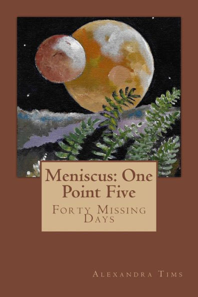 Meniscus: One Point Five