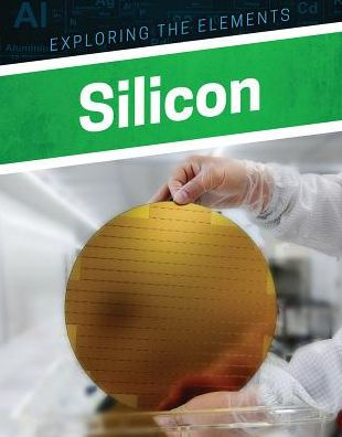Silicon