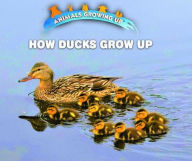 Title: How Ducks Grow Up, Author: Linda Bozzo