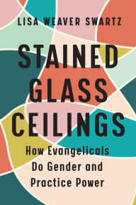 Download free e-books epub Stained Glass Ceilings: How Evangelicals Do Gender and Practice Power