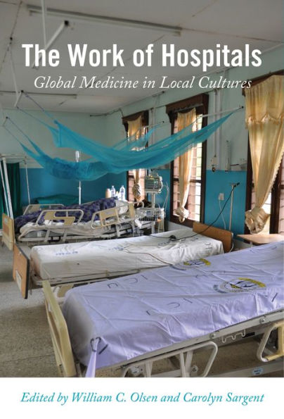 The Work of Hospitals: Global Medicine Local Cultures