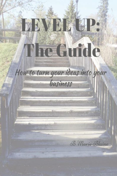 Level Up! The Guide: How to turn your ideas into your business!