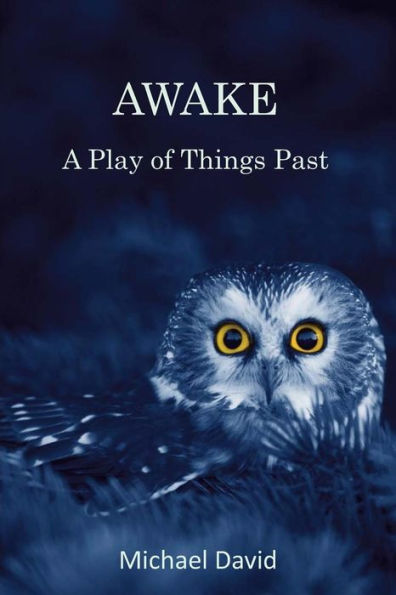 Awake: A Play