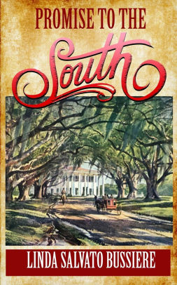 Promise To The South By Linda Salvato Bussiere Paperback Barnes