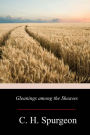 Gleanings Among The Sheaves