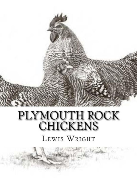 Plymouth Rock Chickens: From The Book of Poultry