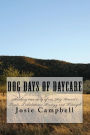 Dog days of Daycare: Shocking true story of one dog kennel's Trials, Tribulations, Tradegy and Triumph