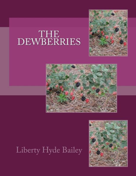 The Dewberries