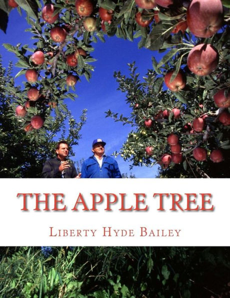 The Apple Tree: A Guide To Growing Apples At Home