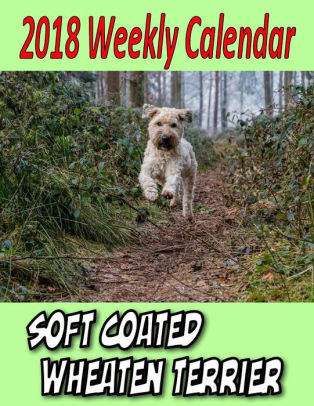 2018 Weekly Calendar Soft Coated Wheaten Terrier By Puppy Times