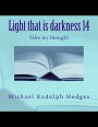 Light that is darkness 14: Take no thought