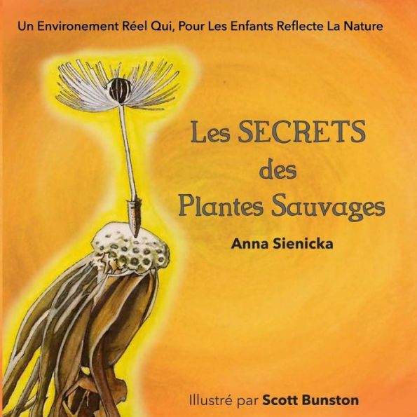 Les SECRETS des Plantes Sauvages: Un Environement Rï¿½el Qui, Pour Les Enfants Reflecte La Nature