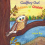 Godfrey Owl: Leaves of Change