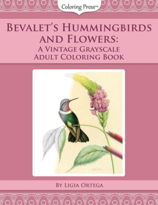 Download Bevalet S Hummingbirds And Flowers A Vintage Grayscale Adult Coloring Book By Ligia Ortega Paperback Barnes Noble