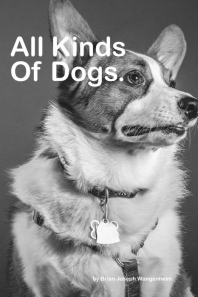 All Kinds Of Dogs: beautiful pictures of dogs