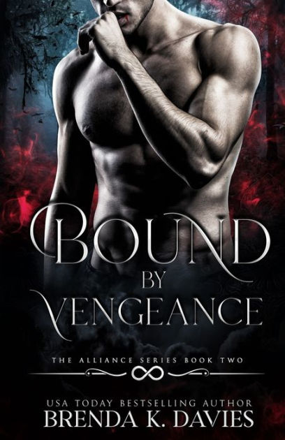 Bound by Vengeance by Brenda K. Davies, Paperback | Barnes & Noble®