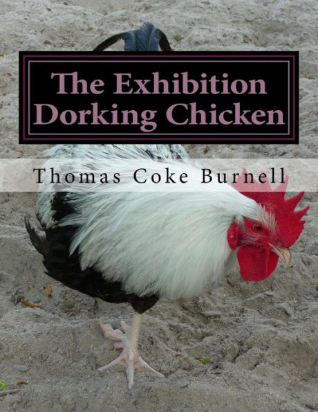 The Exhibition Dorking Chicken: Hints to Exhibitors and Poultry Fanciers of the Dorking Fowl