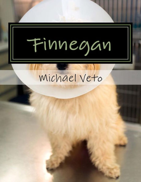 Finnegan