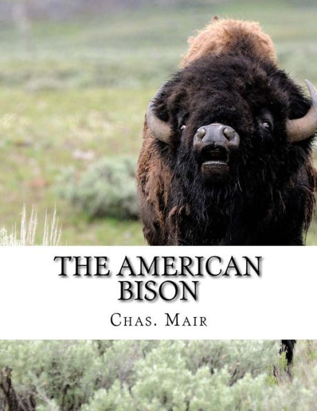 The American Bison: Its Habits, Method of Capture and Economic Use In The North West