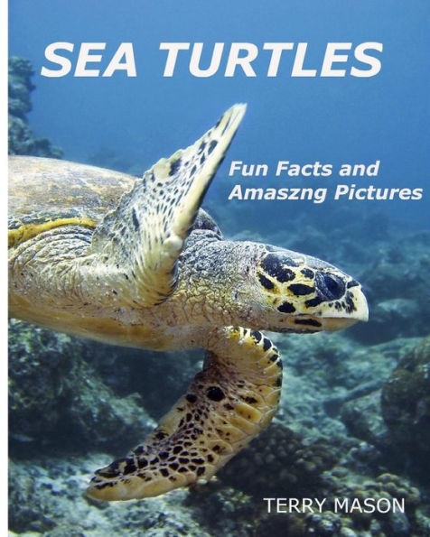 Sea Turtles: : Fun Facts and Amazing Pictures