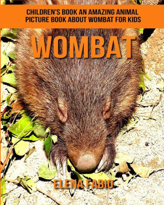 Children's Book: An Amazing Animal Picture Book about Wombat for Kids ...