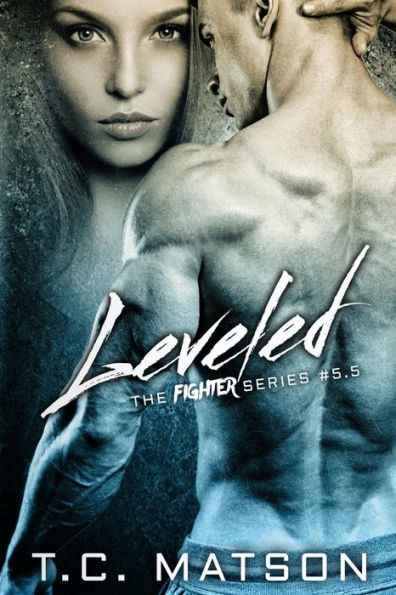Leveled: The Fighter Series #5.5