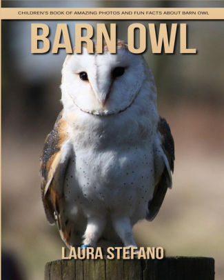 Barn Owl Children S Book Of Amazing Photos And Fun Facts About