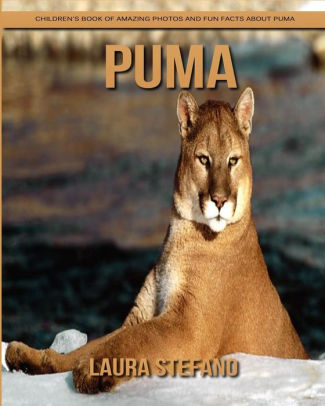puma facts for kids