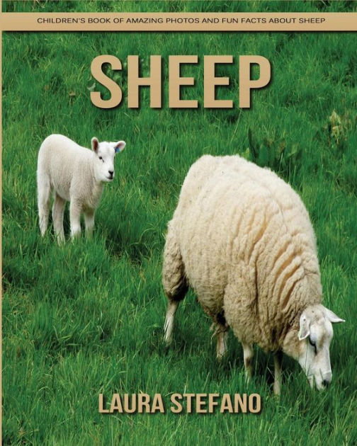 Sheep: Children's Book of Amazing Photos and Fun Facts about Sheep by ...