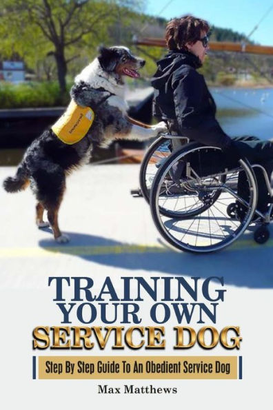 Training Your Own Service Dog: Step By Step Guide To An Obedient Service Dog