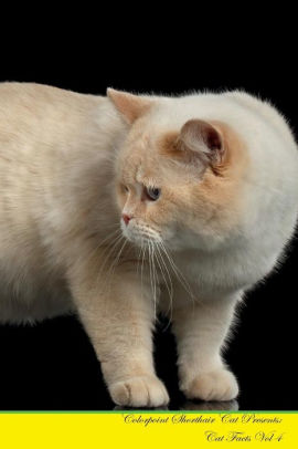 Colorpoint Shorthair Cat Presents Cat Facts Workbook Colorpoint