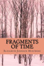 Fragments of Time: Bits and Pieces of the Time I have lived in?