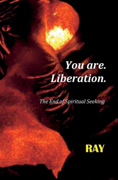 You are. Liberation.: The End of Spiritual Seeking