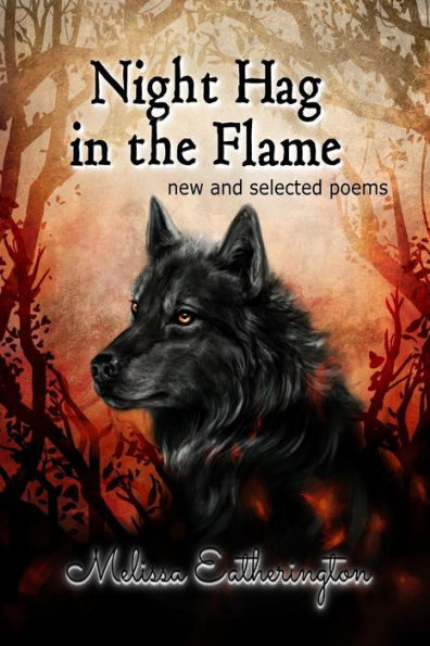 Night Hag in the Flame: new and selected poems