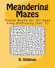 Title: Meandering Mazes: Puzzle Books for All Ages - Easy Difficulty, Author: R Wildman