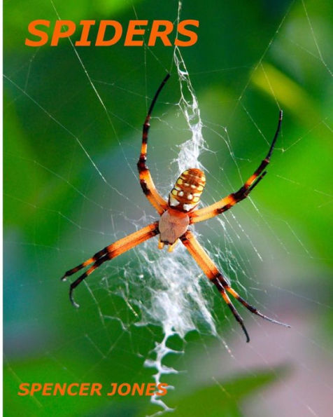 Spiders: Fun Facts & Amazing Pictures - Learn About Snakes