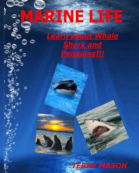 Marine Life: Learn about Whale, Shark and Penguins