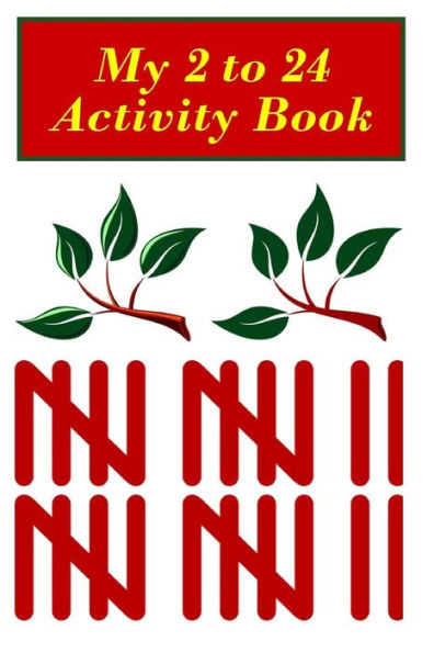 My 2 to 24 Activity Book