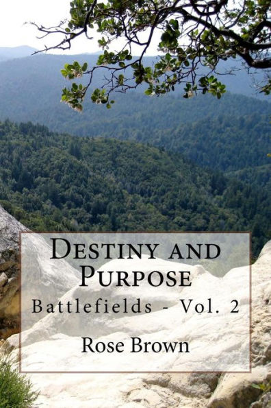 Destiny and Purpose: Battlefields