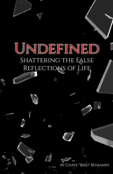 Undefined: Shattering the False Reflections of Life