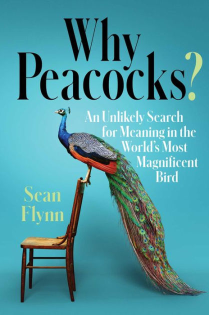 Magnificent Bird By Sean Flynn, Eric Carle Bedding Twine