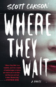 Free download of bookworm Where They Wait: A Novel  9781668033494 in English by Scott Carson