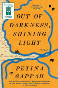 Out of Darkness, Shining Light: A Novel