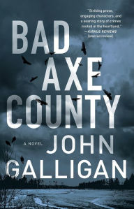 Free electrotherapy books download Bad Axe County: A Novel PDF