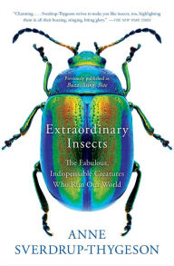 Extraordinary Insects: The Fabulous, Indispensable Creatures Who Run Our World